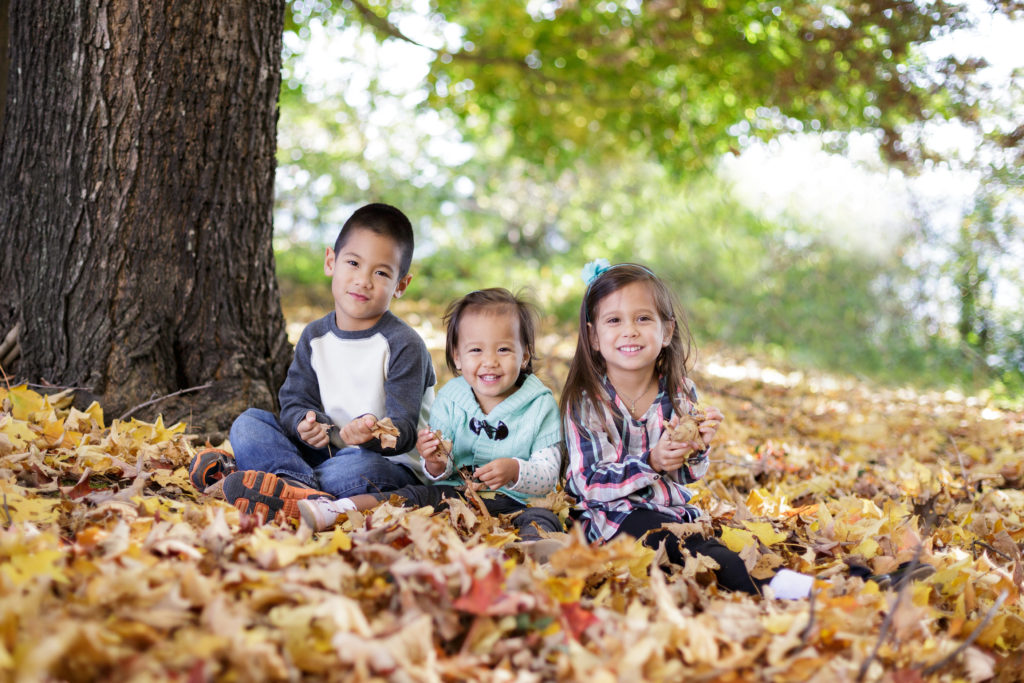fall leaves and family photos