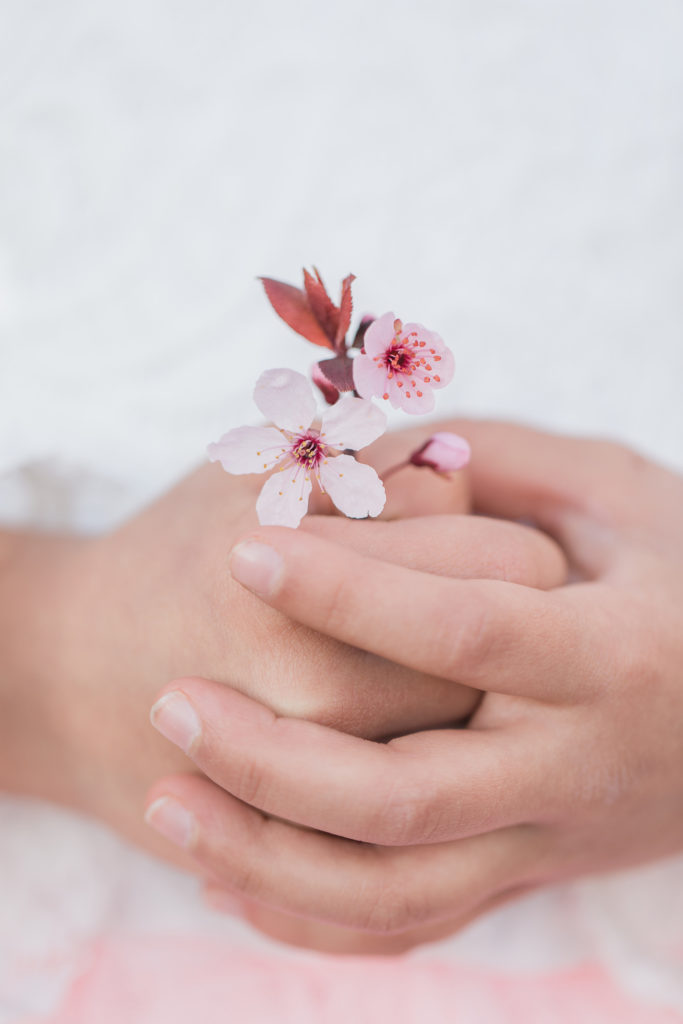 Little girl holds a cherry blossom flower in her hands