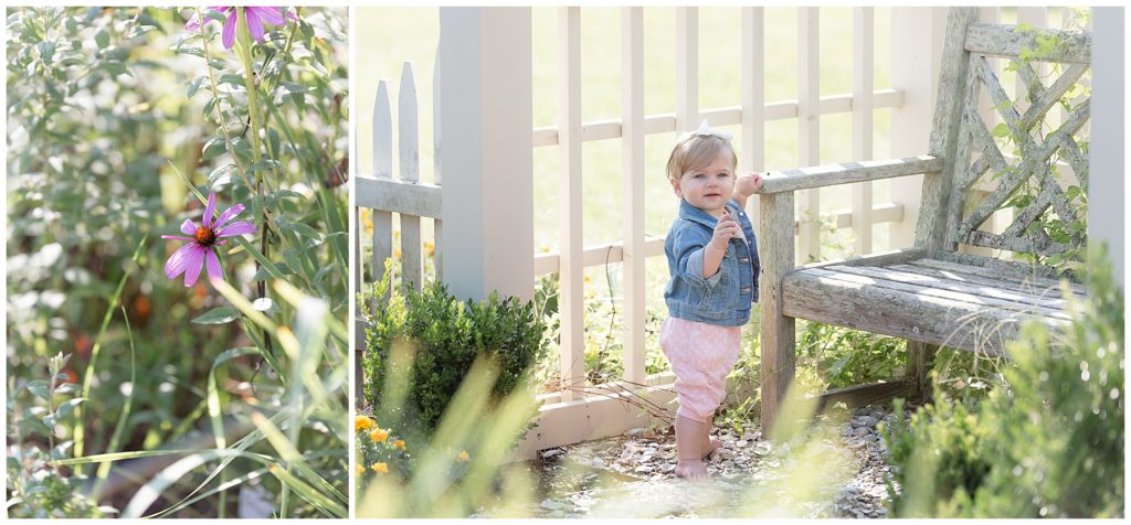 baby poses for birthday portraits in Montpelier Mansion garders