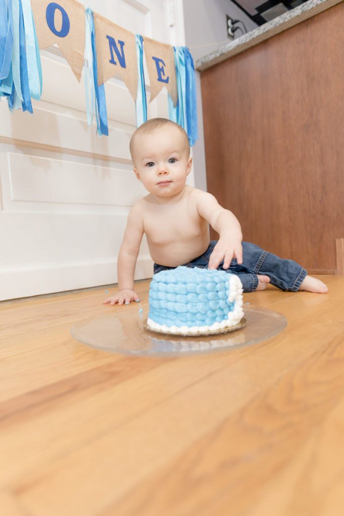 One year cake smash session in Silver Spring, MD