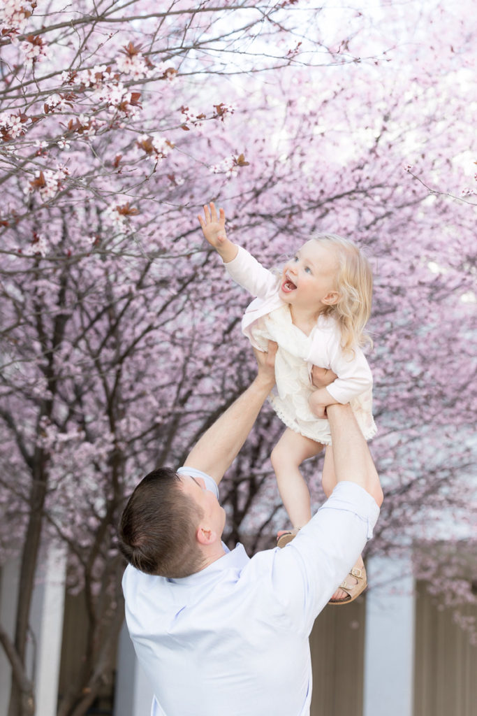 dad tosses daughter into air under blooming cherry trees