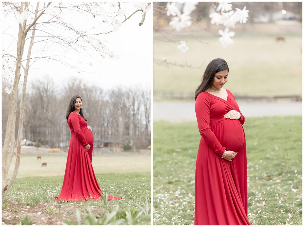 pregnant woman poses for maternity photos