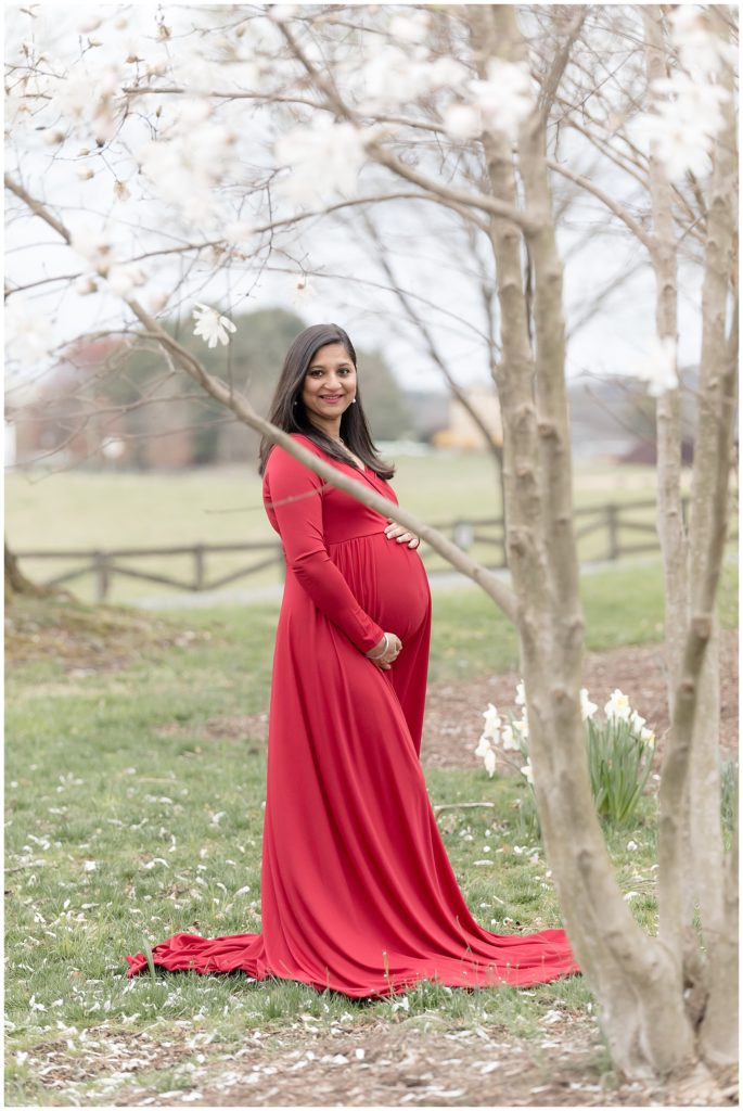 woman in red maternity dress framed by spring tree