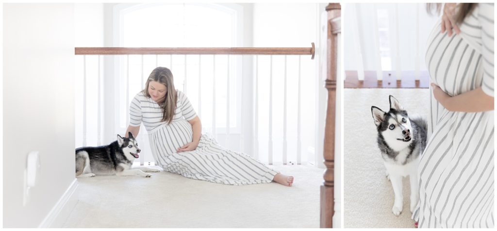 family dog joins in all white maternity photos