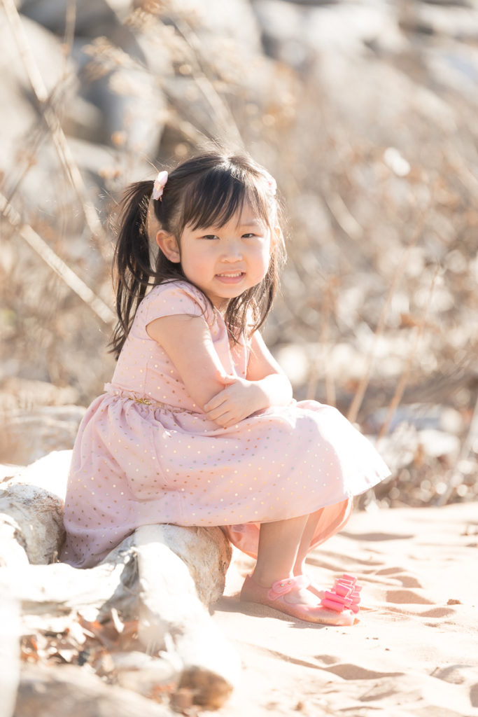preschooler in pink dress on beach