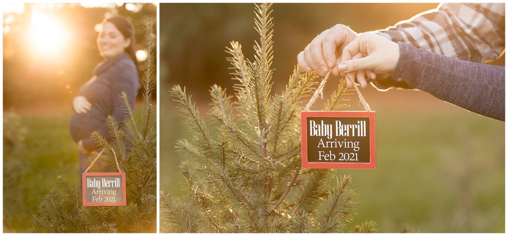 ornament announcing baby in Christmas tree maternity photos