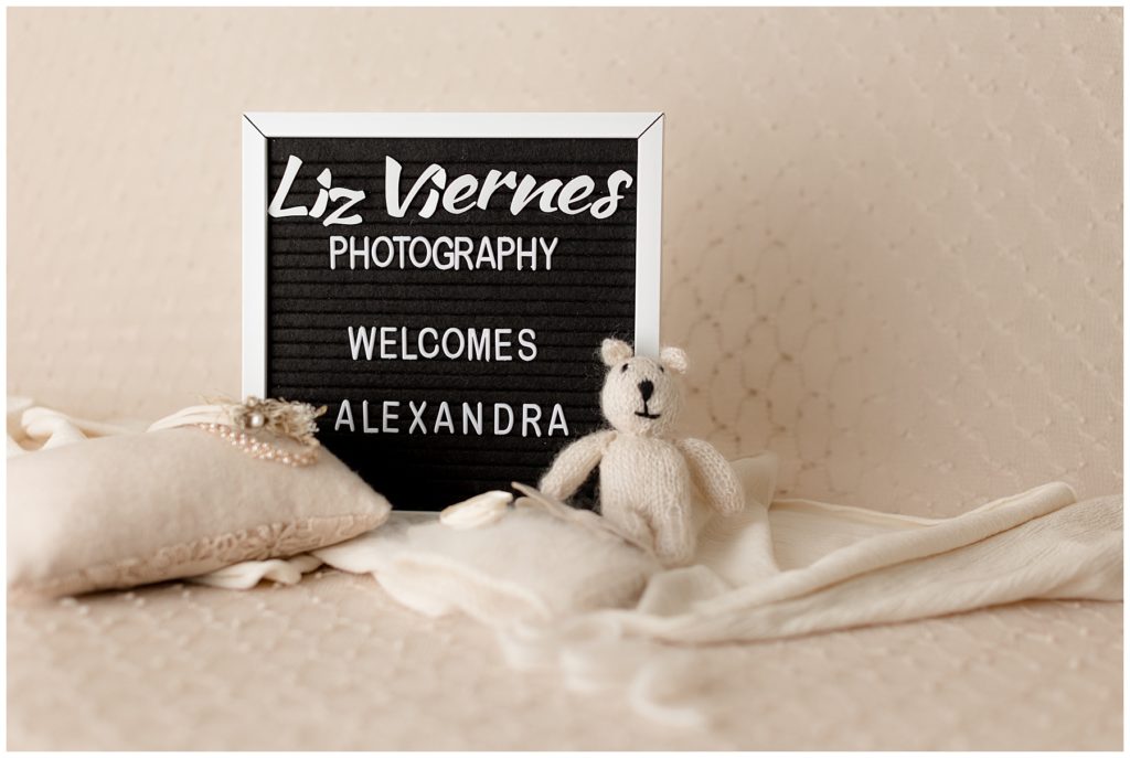 introduction sign for newborn photos