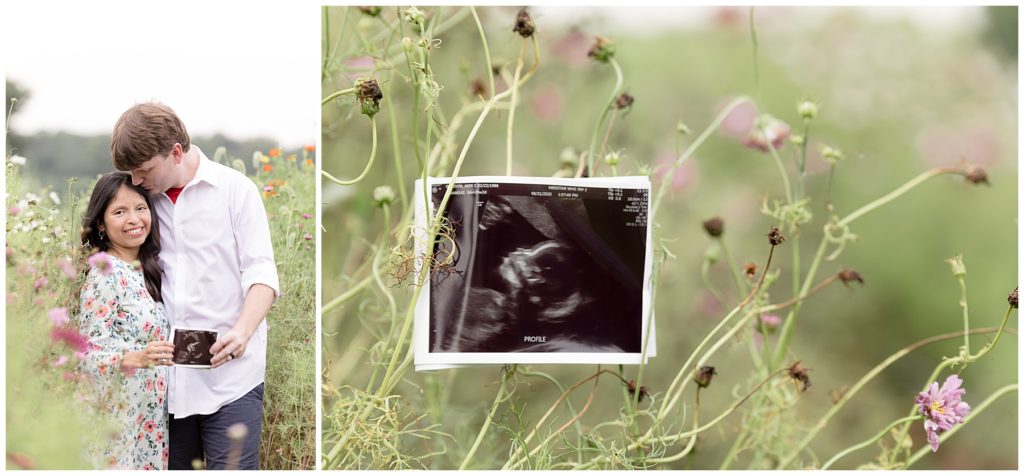 pregnancy announcement, garden maternity photos