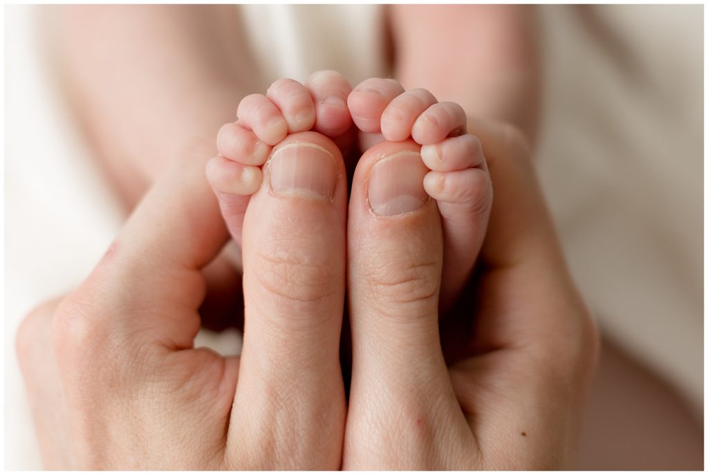 newborn mini session poses - baby feet with parent hands