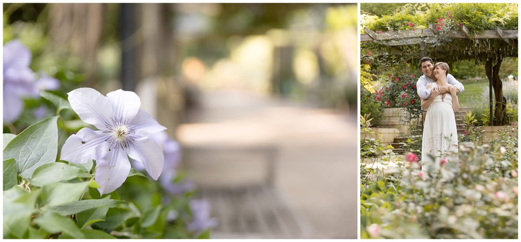maternity session at Brookside Gardens