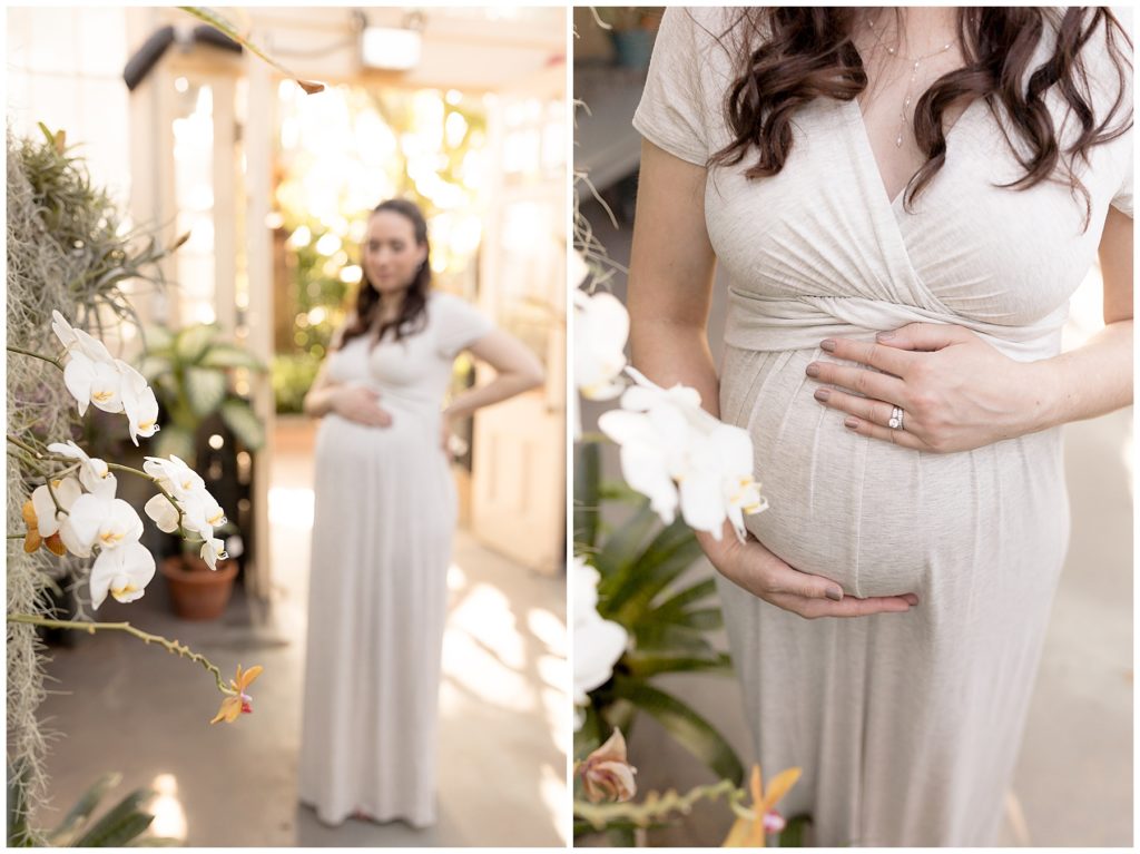 pregnant belly and white orchids