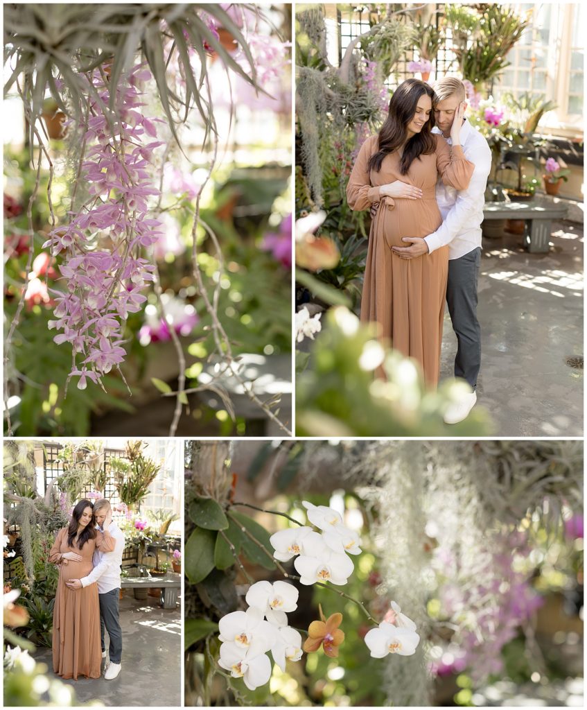 pregnancy photos in orchid room at Rawlings Conservatory