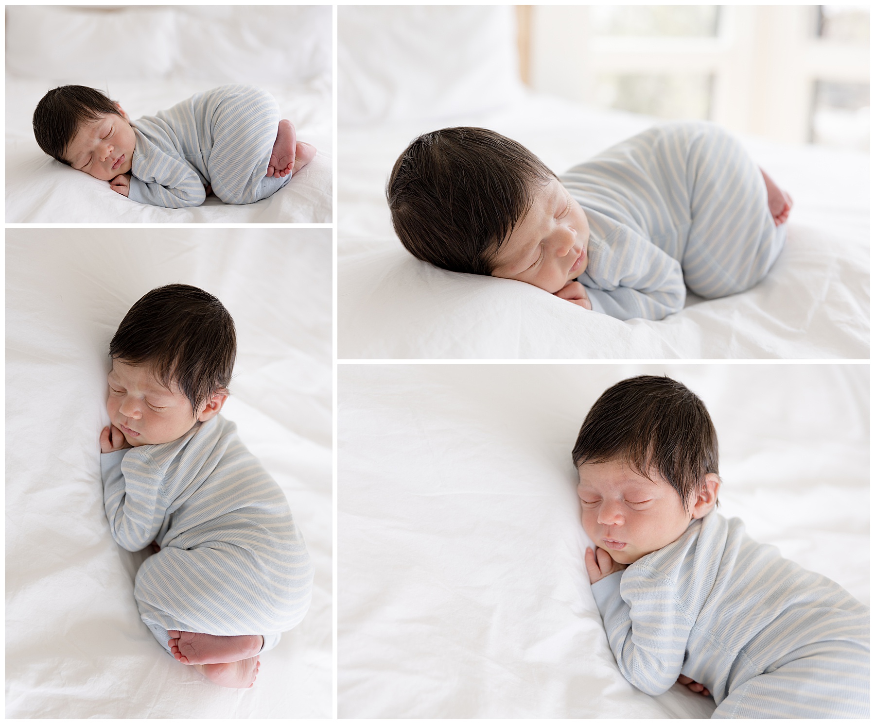 newborn portraits, in home newborn photos