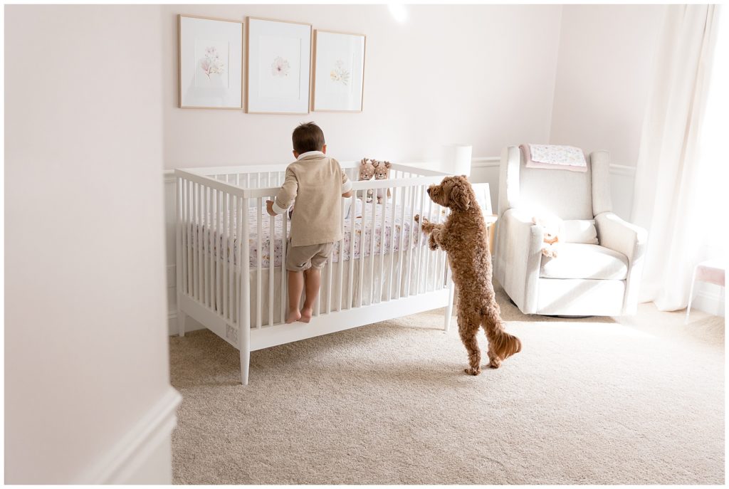 big brother and family dog check out baby in the crib