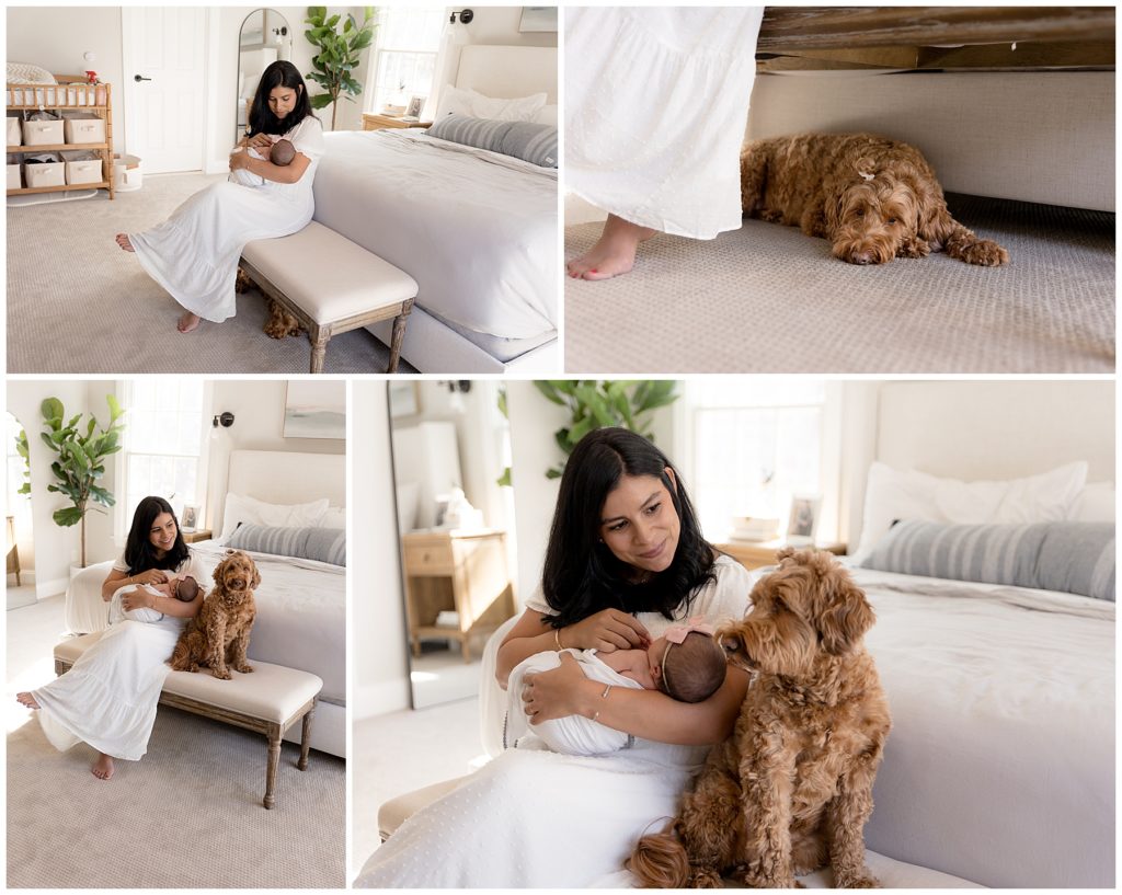 mom + newborn + family dog during baby's first photoshoot