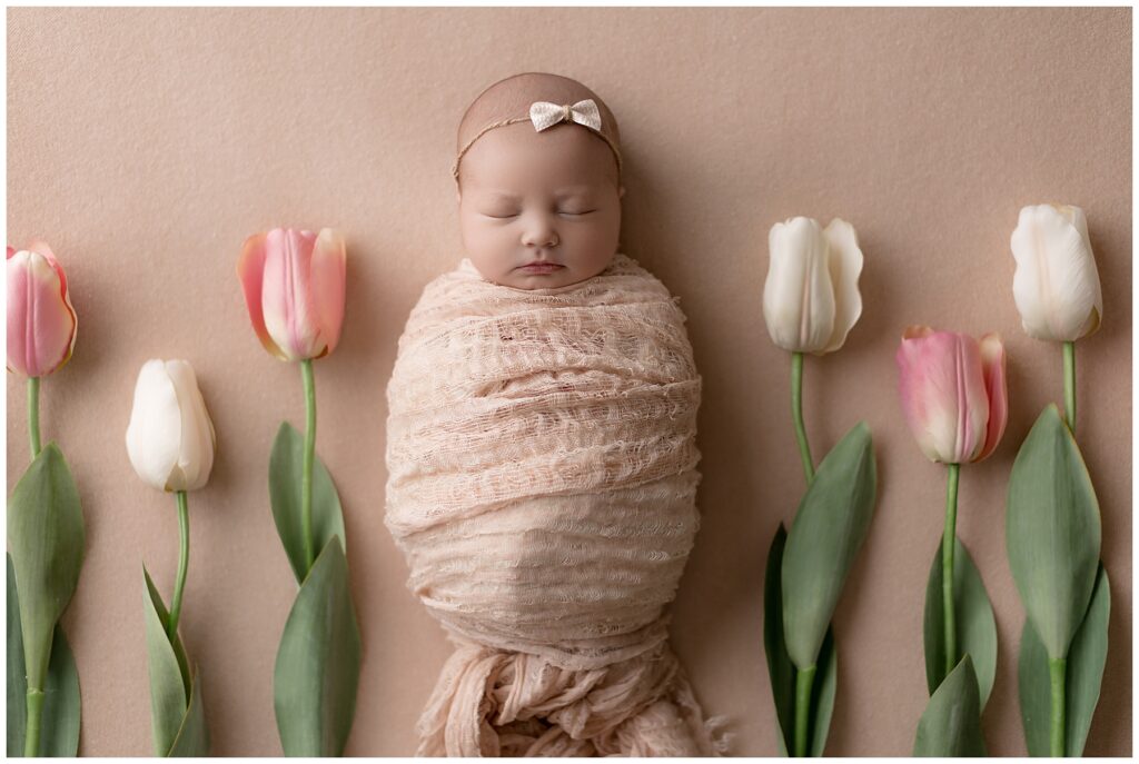 spring newborn session and tulips