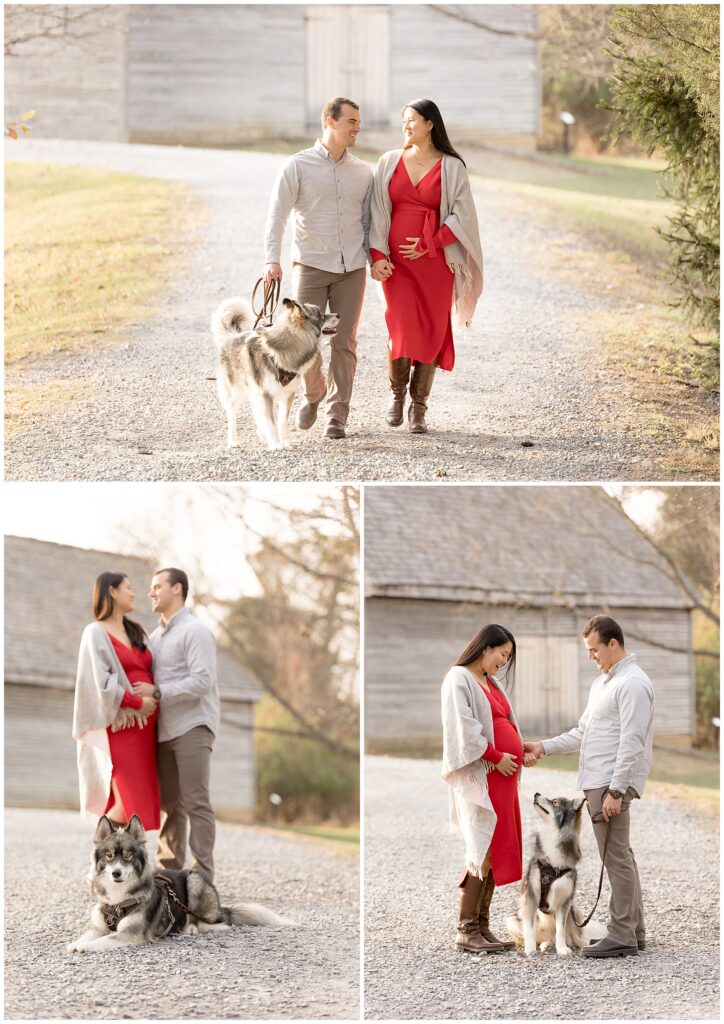 pregnancy photos walking down a driveway with a fluffy black and white dog