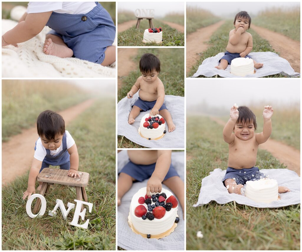 cake smash baby milestone photos
